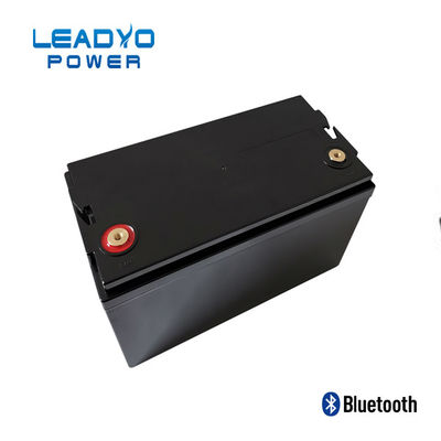 खरीदें LEADYO BMS समुद्री Lifepo4 बैटरी 12V 100amp प्लास्टिक स्क्रू करने योग्य केस: ऑनलाइन निर्माण